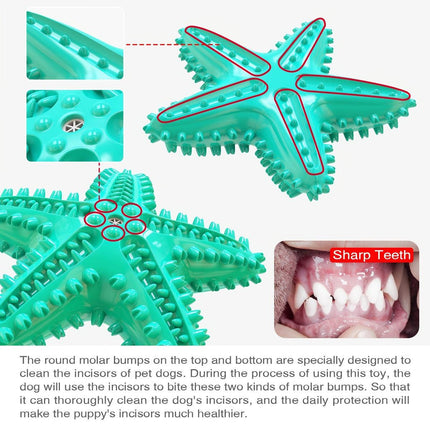 Pet Starfish Floating Dog Toy Audible Water Toy for Dogs Interactive Play Fun