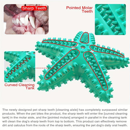 Pet Starfish Floating Dog Toy Audible Water Toy for Dogs Interactive Play Fun