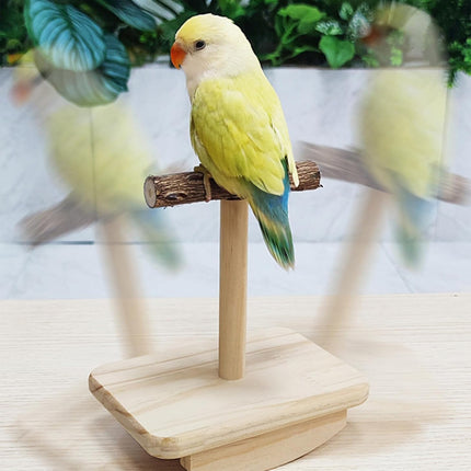 Parrot Toy Zanthoxylum Wood Bird Perch Stand Grinding Stick Non Toxic Durable