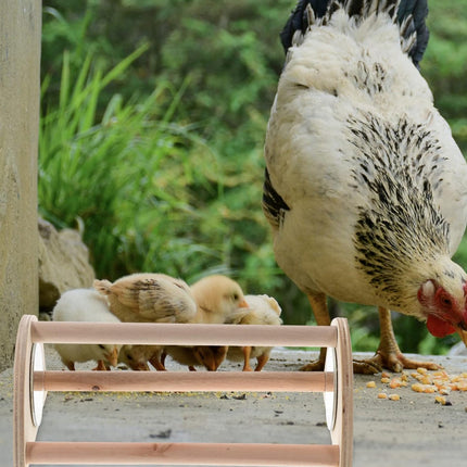Wooden Chick Perch Stand Mirror Small Bird Play Rack for Chicken Coop Brooder