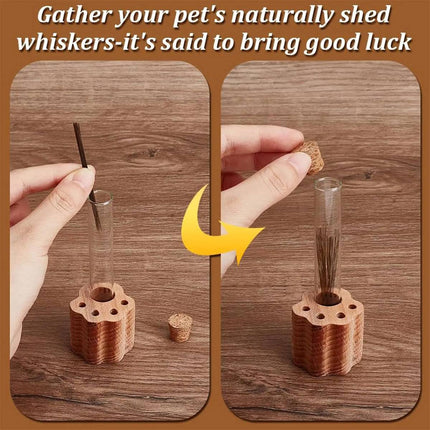 Solid Wood Cat Whisker Keepsake Holder with Glass Tube - Paw Base