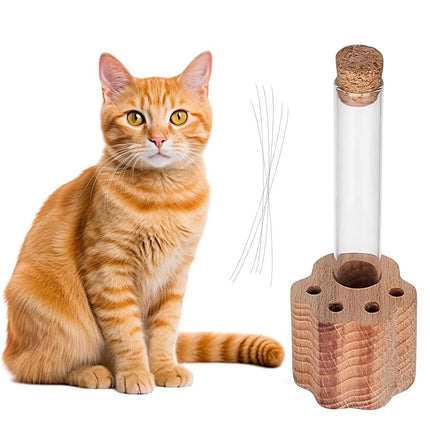 Solid Wood Cat Whisker Keepsake Holder with Glass Tube - Paw Base