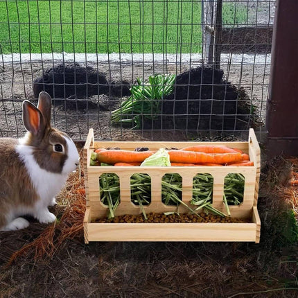 Wooden Rabbit Hay Feeder with Carrot Holes and Bowl