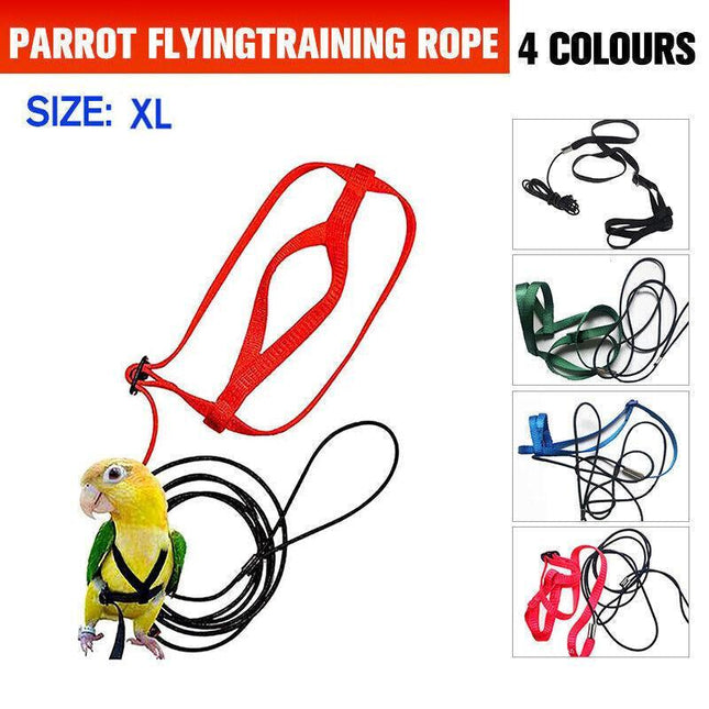 XL Pet Parrot Bird Harness Lead Leash Flying Training Rope Cockatiel Outdoor - Aimall