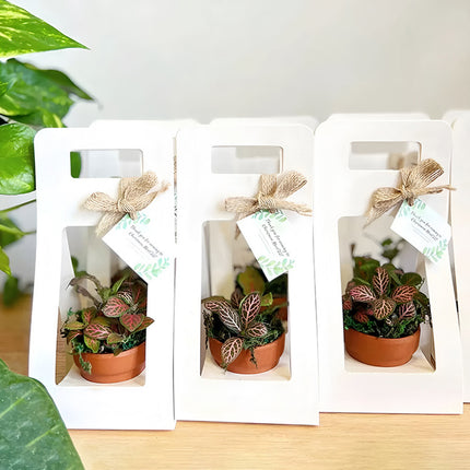 30PCS Flower Gift Packaging Boxes with Handle Durable Birthday Wedding Favors