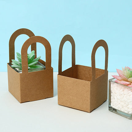 50 Pack Kraft Paper Gift Boxes with Handles Succulent Favour Boxes Party Packaging