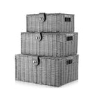 Rattan Storage Basket 3pcs Woven With Lid Natural Household Toys Snack Organizer