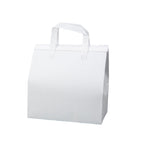 White-24x24x15cm