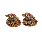 Colden Toad