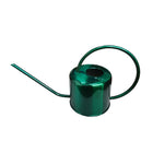 Large Capacity Metal Watering Kettle Retro Garden Spray Pot with Long Spout