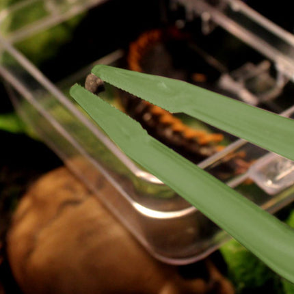 18cm Plastic Luminous Tweezer Feeding Tongs Straight for Reptile Feeder White