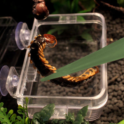 18cm Plastic Luminous Tweezer Feeding Tongs Straight for Reptile Feeder White