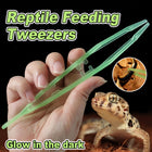 18cm Plastic Luminous Tweezer Feeding Tongs Straight for Reptile Feeder White