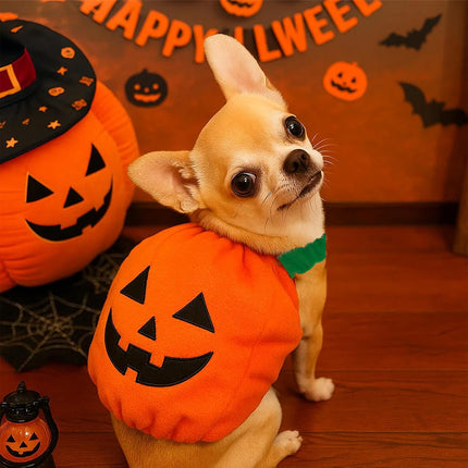 Dog Cat Pet Pumpkin Fancy Dress Outfits Halloween Xmas Cosplay Costume Clothes