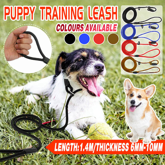 Dog Training Correction Leash Lead Cesar Puppy Pets Millan Slip Nylon Rope 10*140mm