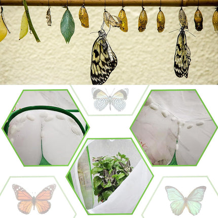 Collapsible Insect Cage Garden Insect Screen Plant Cultivation Cage for Outdoor