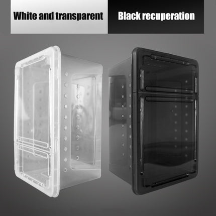 Bug and Isopod Breeder Box Clear Plastic Small Reptile Enclosure Carrier