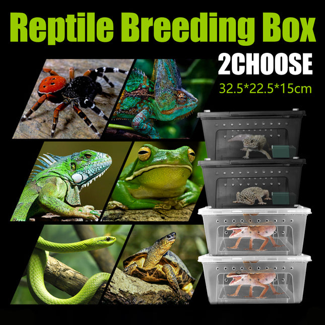 Bug and Isopod Breeder Box Clear Plastic Small Reptile Enclosure Carrier