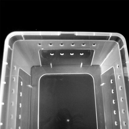 Bug and Isopod Breeder Box Clear Plastic Small Reptile Enclosure Carrier