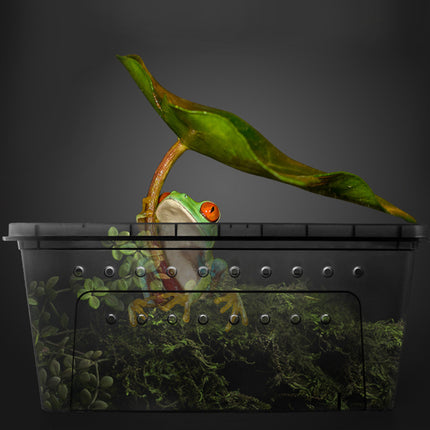 Bug and Isopod Breeder Box Clear Plastic Small Reptile Enclosure Carrier