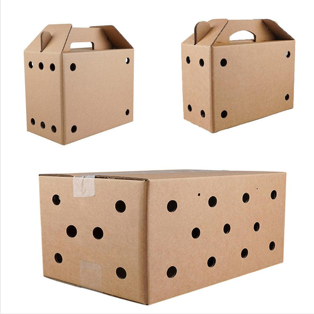 10PCS Disposable Cardboard Pet Carrier - 3 Sizes for Small Animals