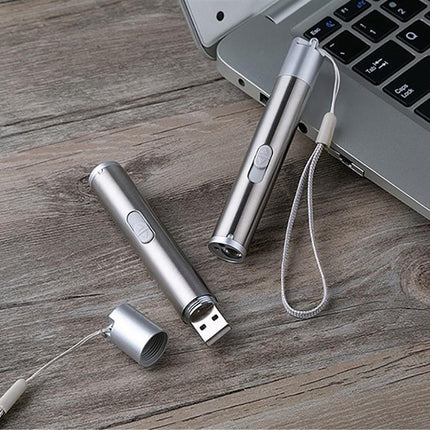 3 in 1 Multi Function Premium Cat Toy Laser Pointer USB Charging LED Torch Light - Aimall