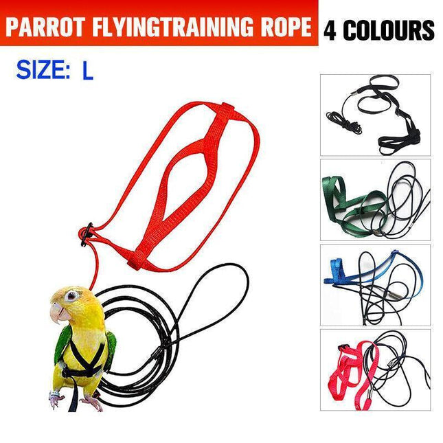 L Pet Parrot Bird Harness Lead Leash Flying Training Rope Cockatiel Outdoor - Aimall