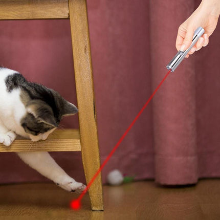 3 in 1 Multi Function Premium Cat Toy Laser Pointer USB Charging LED Torch Light - Aimall