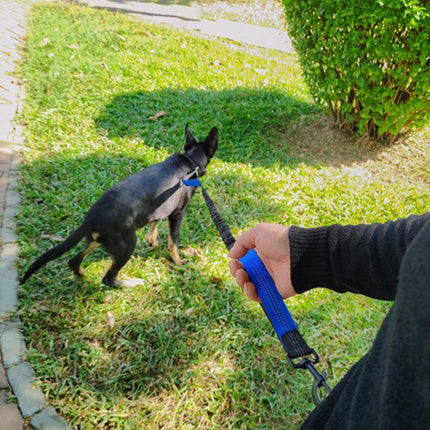 Adjustable Hands Free Dog Leash Lead + Waist Bag Belt Jogging Walking Running - Aimall