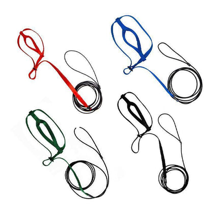 S Pet Parrot Bird Harness Lead Leash Flying Training Rope Cockatiel Outdoor - Aimall