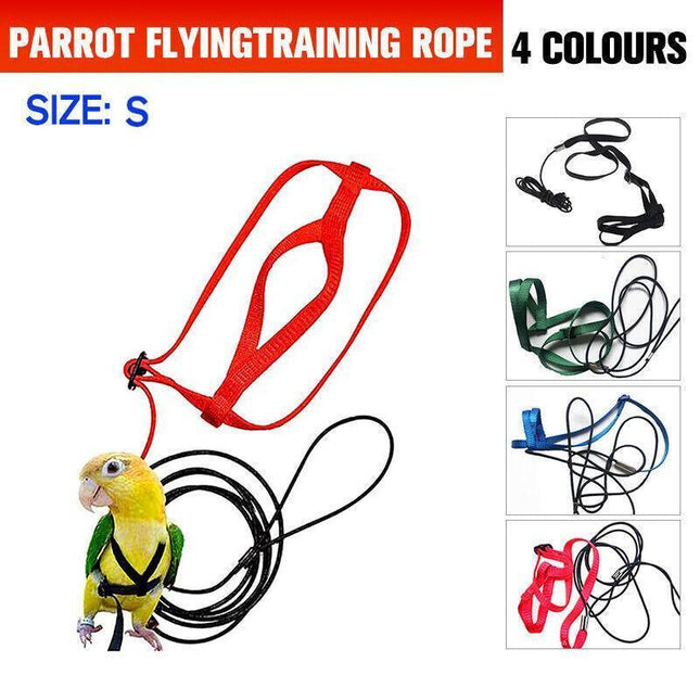 S Pet Parrot Bird Harness Lead Leash Flying Training Rope Cockatiel Outdoor - Aimall