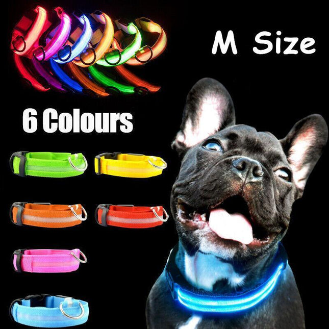M Size USB Rechargeable LED Dog Collar Nylon Glow Flashing Light Up Safety Pet Collars - Aimall