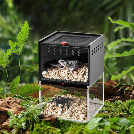  Lizard Reptile Breeding Box