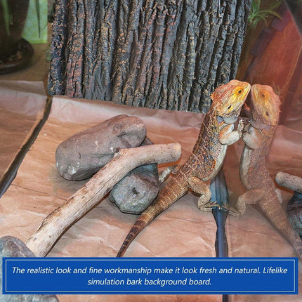3D Reptile Box Background Plate Rock Stereoscopic Aquascape Tank Decoration