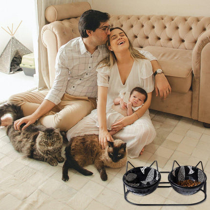 Double Ceramic Anti-Tipping Cat Dog Food and Water Bowl with Spine Fixed Design