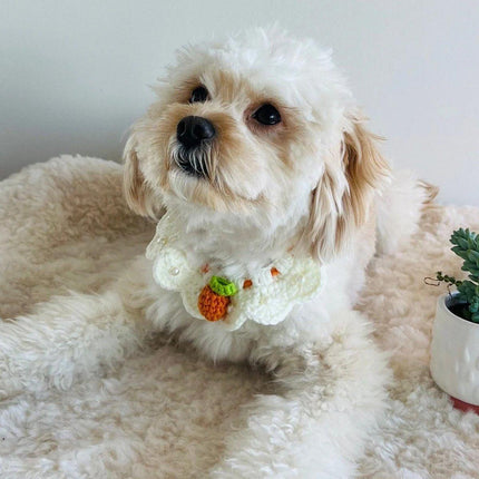 Adjustable Knitted Pet Collar Cute Bib Style for Cats and Small Dogs
