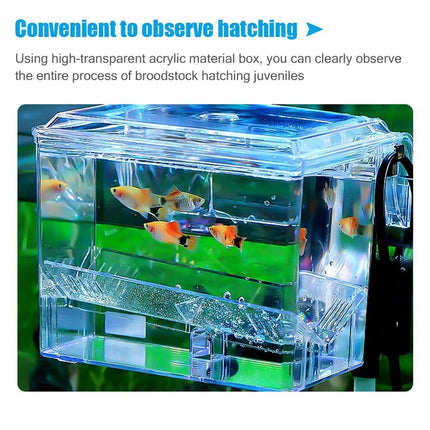 Outboard Isolation Breeding Box Guppy Hatch Feeding Pneumatic Electric Fish Tank