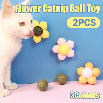 2PCS Cat Toy Catnip Ball Flower Tooth Cleaning Grinding Chew Kitten