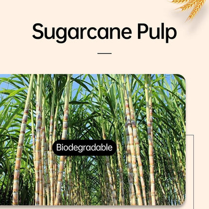 50pcs Disposable Ice Cream Cups Degradable Sugarcane Pulp Eco-Friendly Party