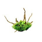 CM2501-Green