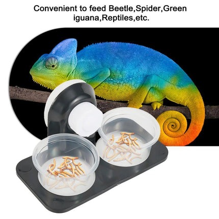 Dual Reptile Food and Water Bowl with Suction Cup Detachable Feeder for Lizards