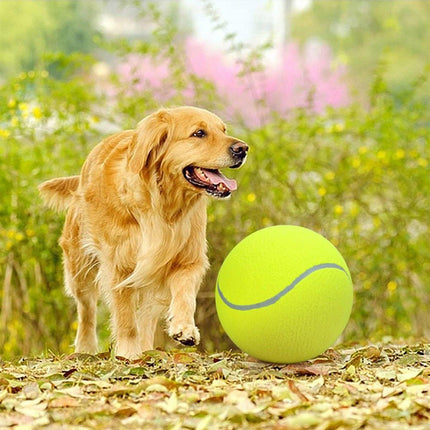 Inflatable Tennis Ball Pet Toy for Dogs Training Interactive Play Fetch Fun