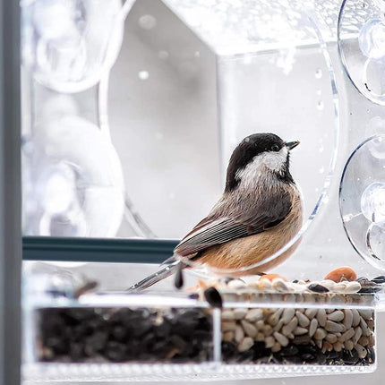 Large Window Bird Feeder Strong Suction Cups Superior Design Lifetime Guarantee - Aimall