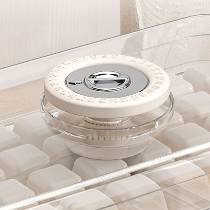 Large Capacity Food Grade Ice Cube Mold with Lid Household Ice Storage Box