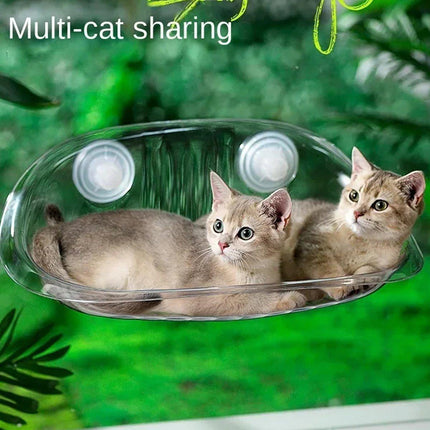 Cat Hammock Bed Glass Hanging Basket Clear Pet Nest Elevated Sleeping Bed