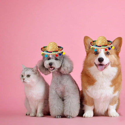 2pcs Striped Triangle Scarf Colourful Hairball Pet Straw Hat Scarf Set for Pets