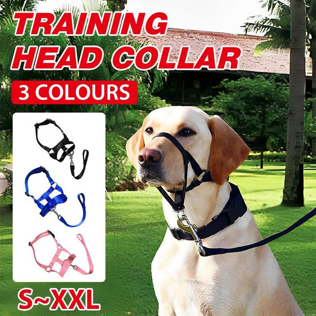 Black Dog Training Head Collar Halter Stop Pulling Training Tool Harness Strap Leader - Aimall