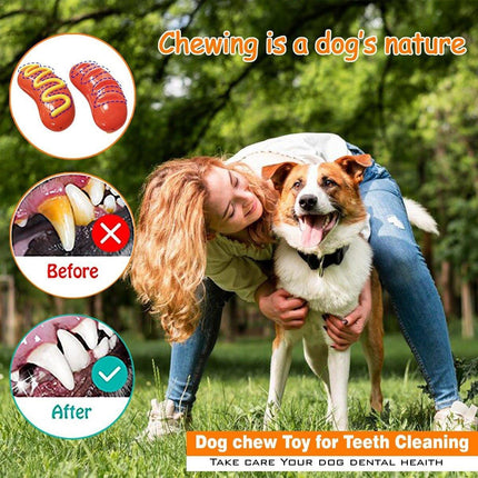 Dog Chew Toy Baked Sausage Ham Squeaky Pet Toy Bite Resistant Grinding Bar