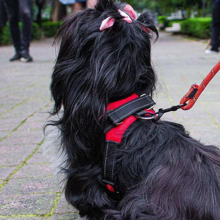 S-M Front Range No-Pull Dog Harness Vest Adjustable Outdoor Handle Puppy Pet - Aimall