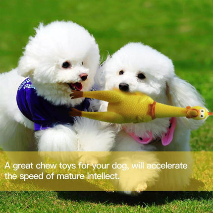 3PCS Squeaky Screaming Chicken Dog Toy Set Rubber Chew Toys for Pets in 3 Sizes